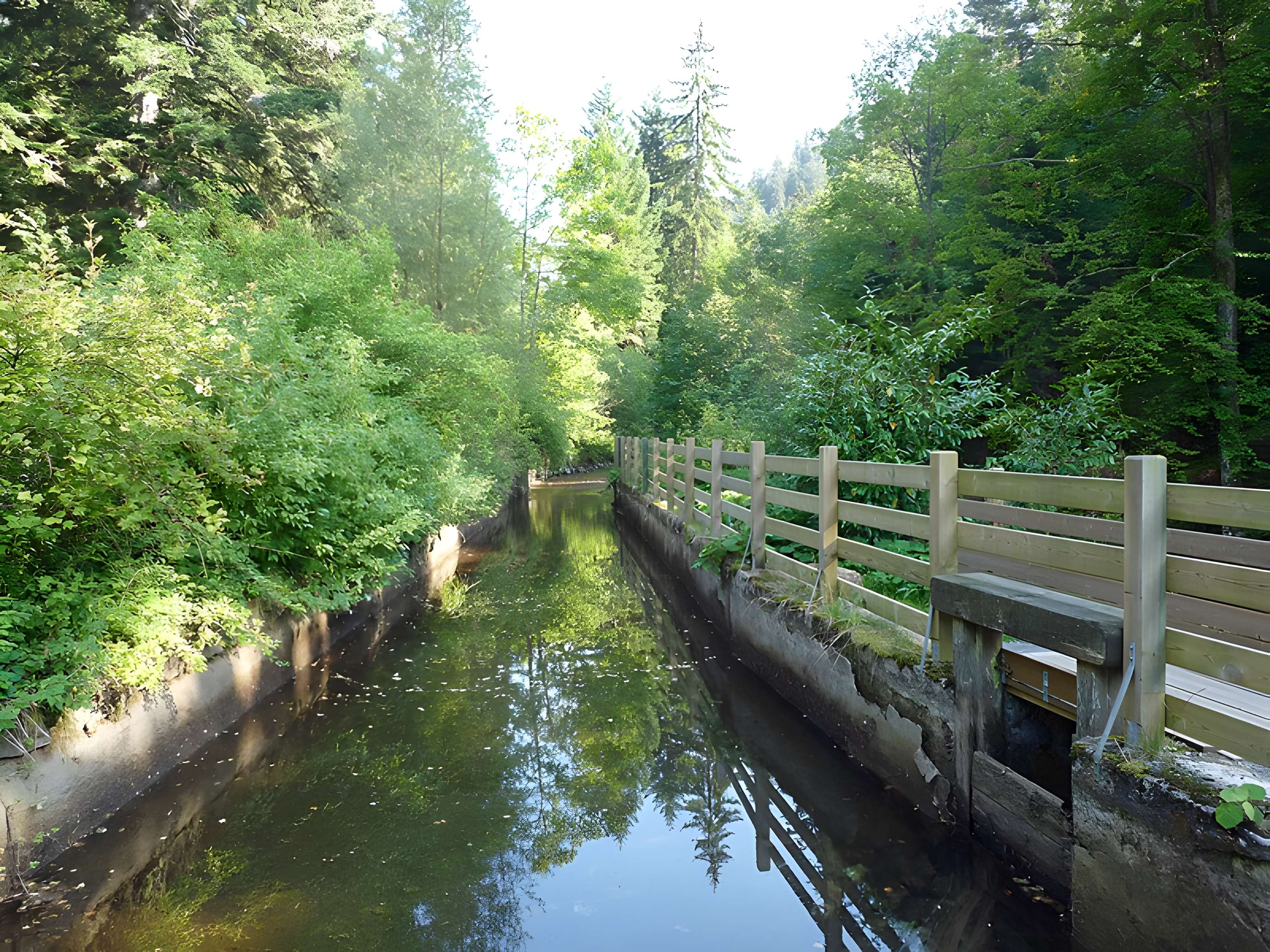 Scierie du Lançoir à Ban-sur-Meurthe-Clefcy