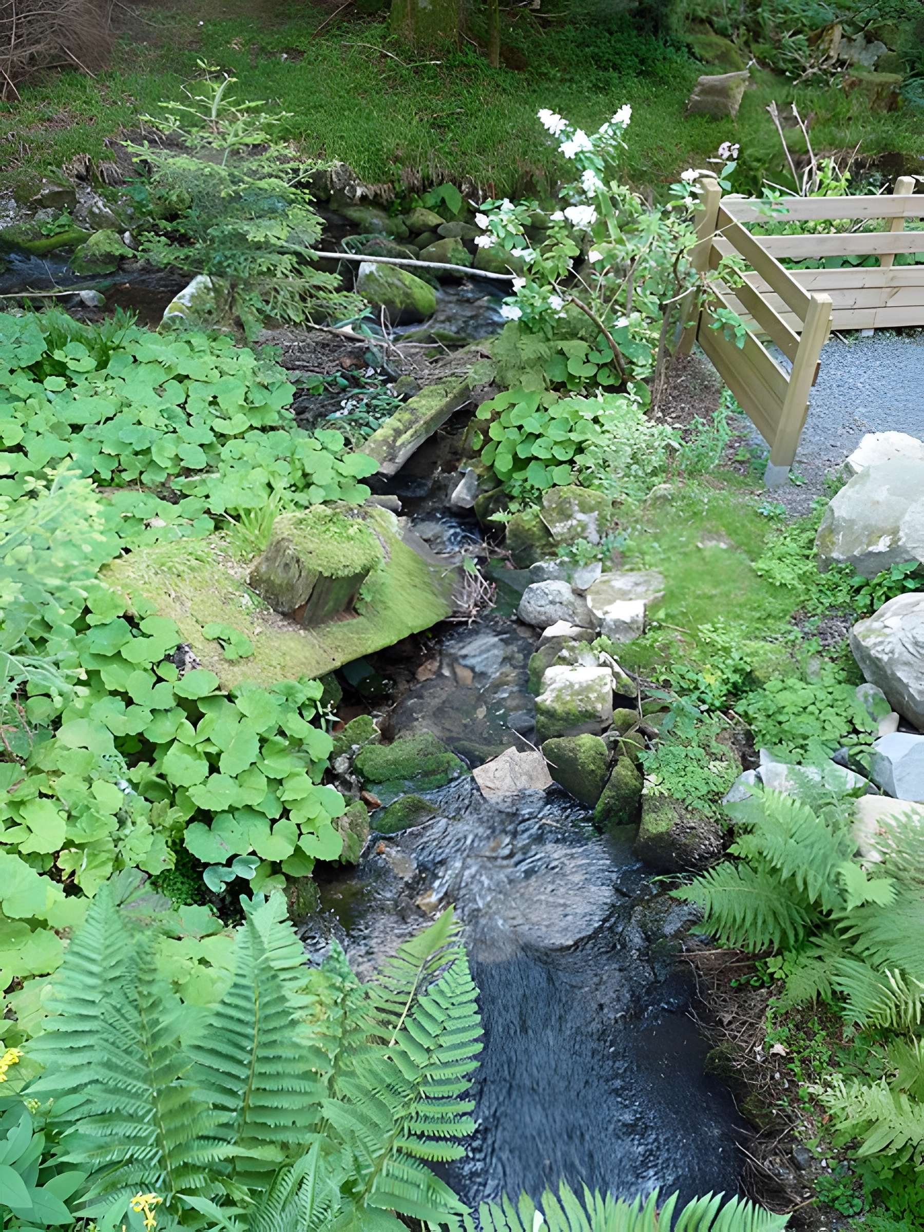 Scierie du Lançoir à Ban-sur-Meurthe-Clefcy