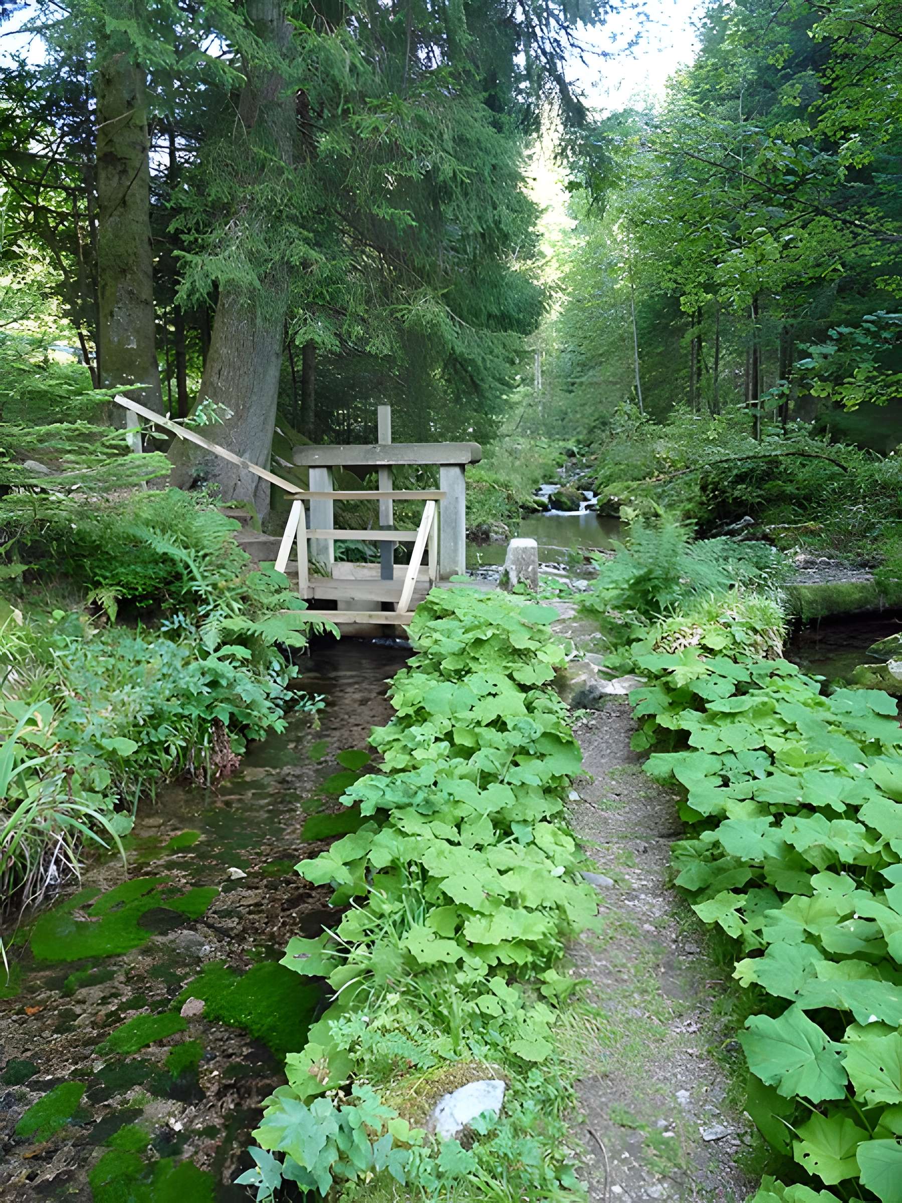 Scierie du Lançoir à Ban-sur-Meurthe-Clefcy