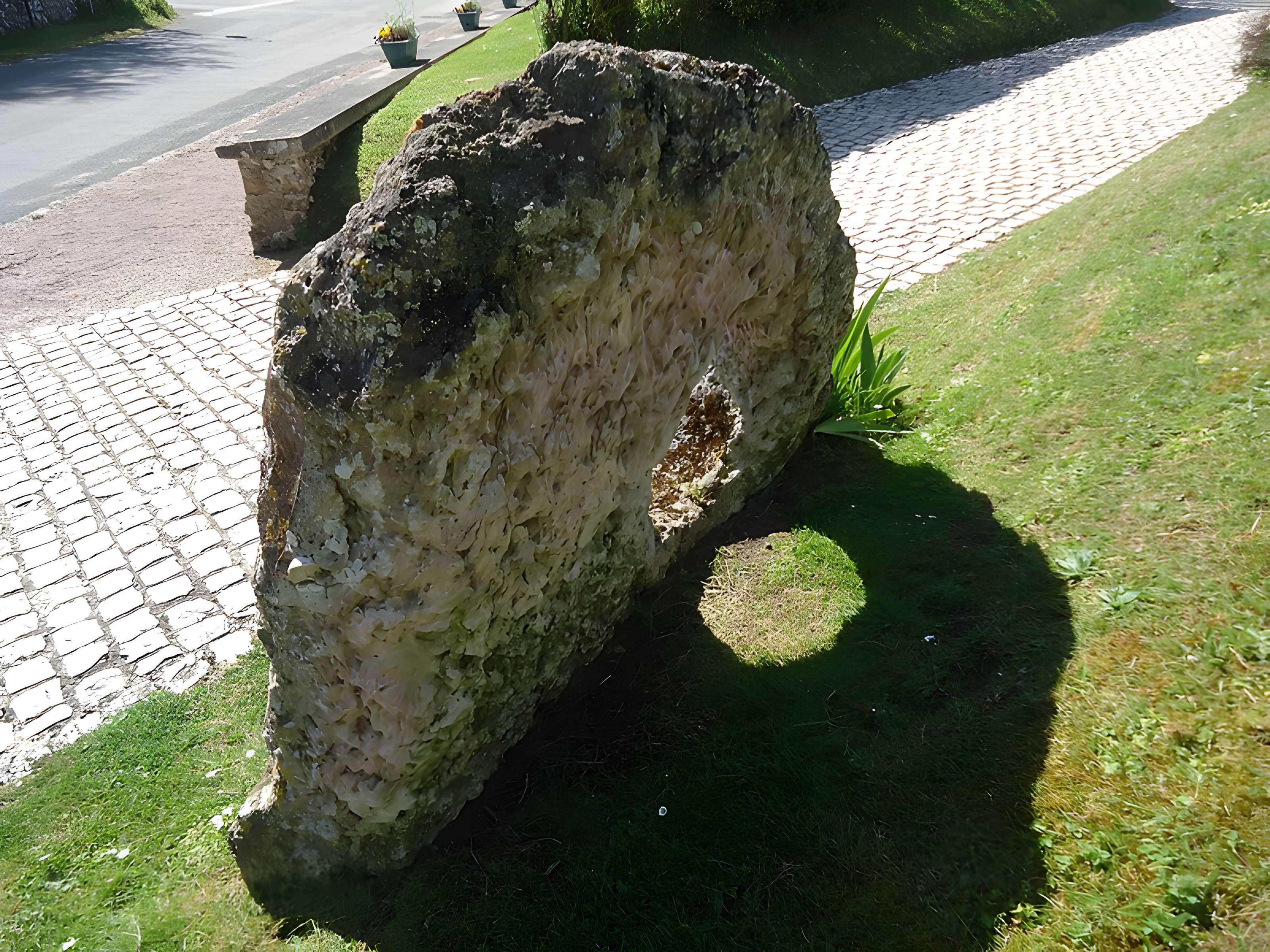 Sépulture mégalithique d'Aizier