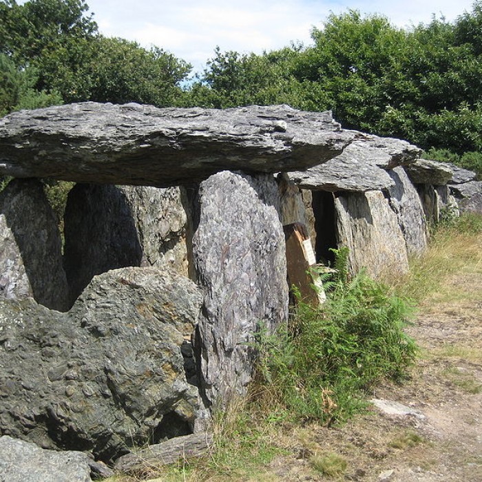 Photo de Sépulture mégalithique de Tréal à Saint-Just