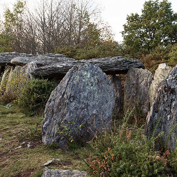 Photo de Sépulture mégalithique de Tréal à Saint-Just
