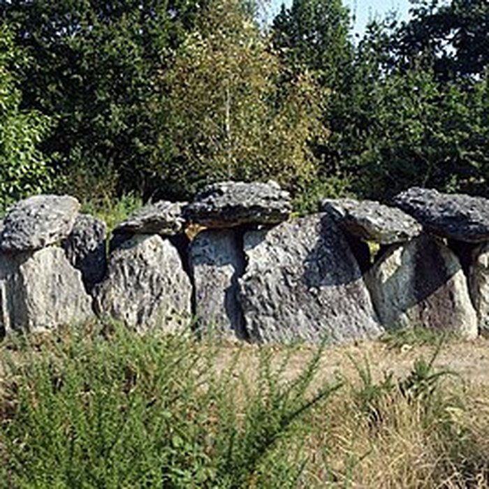 Photo de Sépulture mégalithique de Tréal à Saint-Just