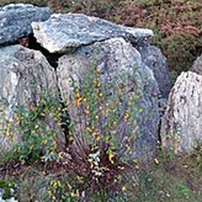 Photo de Sépulture mégalithique de Tréal à Saint-Just