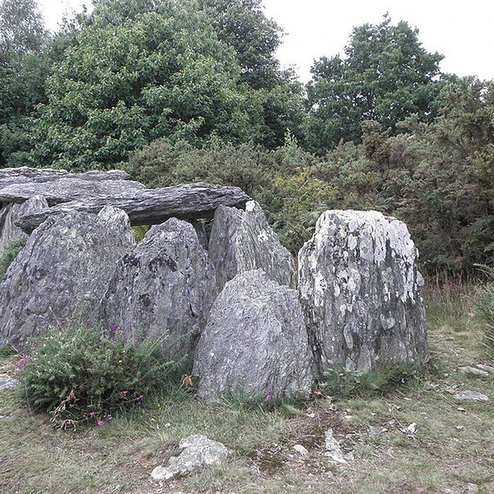 Photo de Sépulture mégalithique de Tréal à Saint-Just