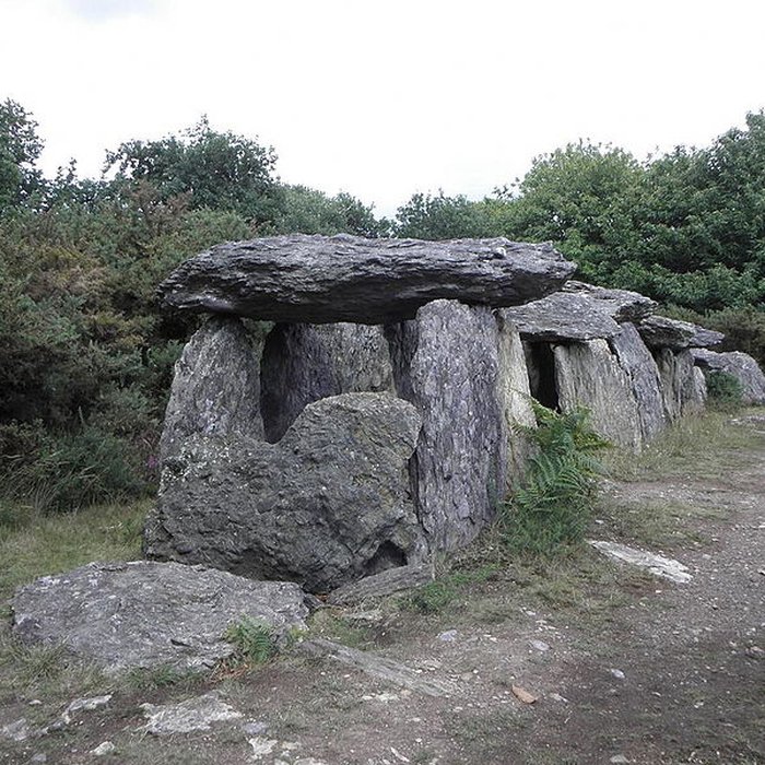 Photo de Sépulture mégalithique de Tréal à Saint-Just