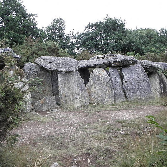 Photo de Sépulture mégalithique de Tréal à Saint-Just