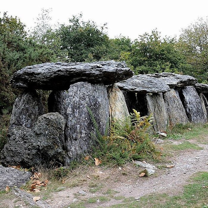 Photo de Sépulture mégalithique de Tréal à Saint-Just