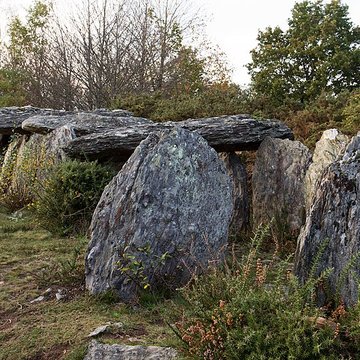 Sépulture mégalithique de Tréal à Saint-Just
