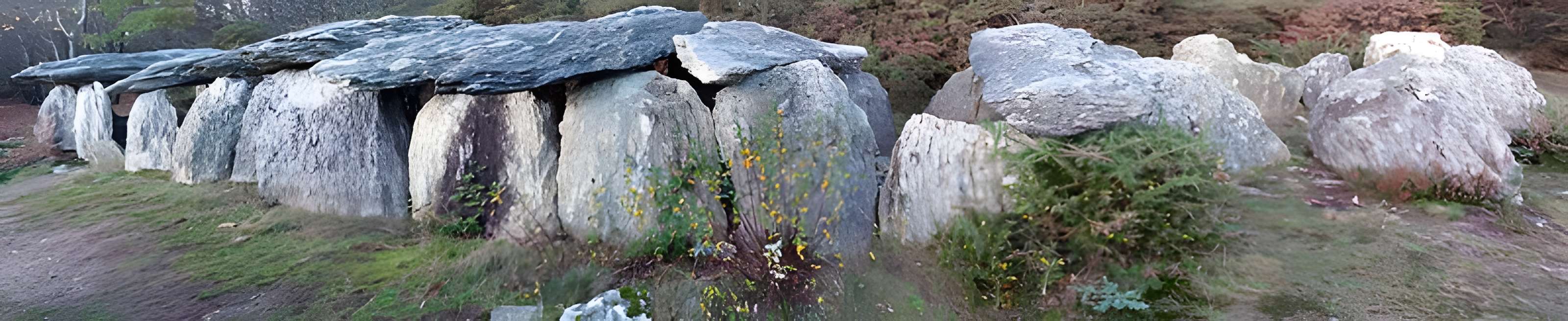 Sépulture mégalithique de Tréal à Saint-Just