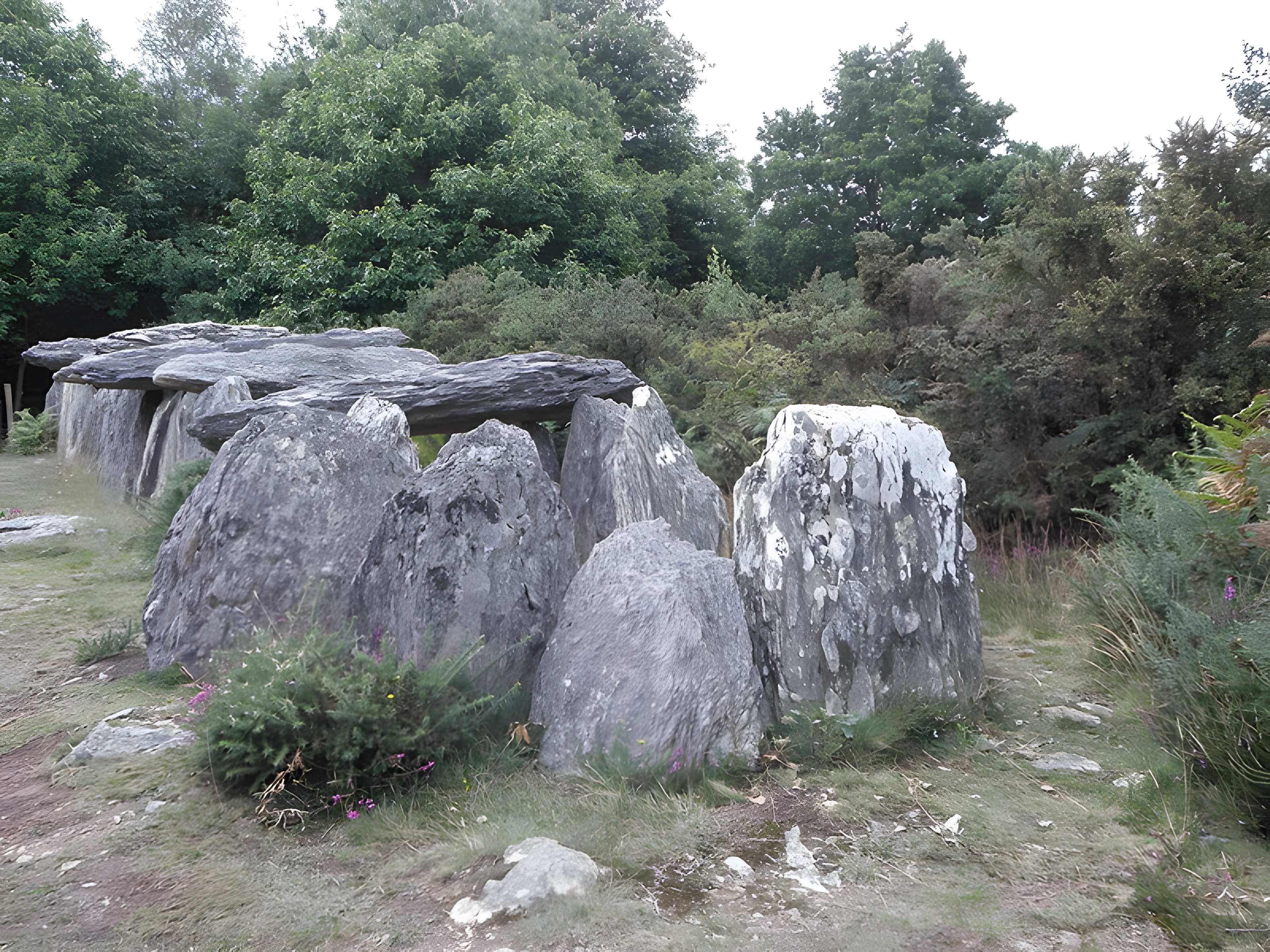 Sépulture mégalithique de Tréal à Saint-Just