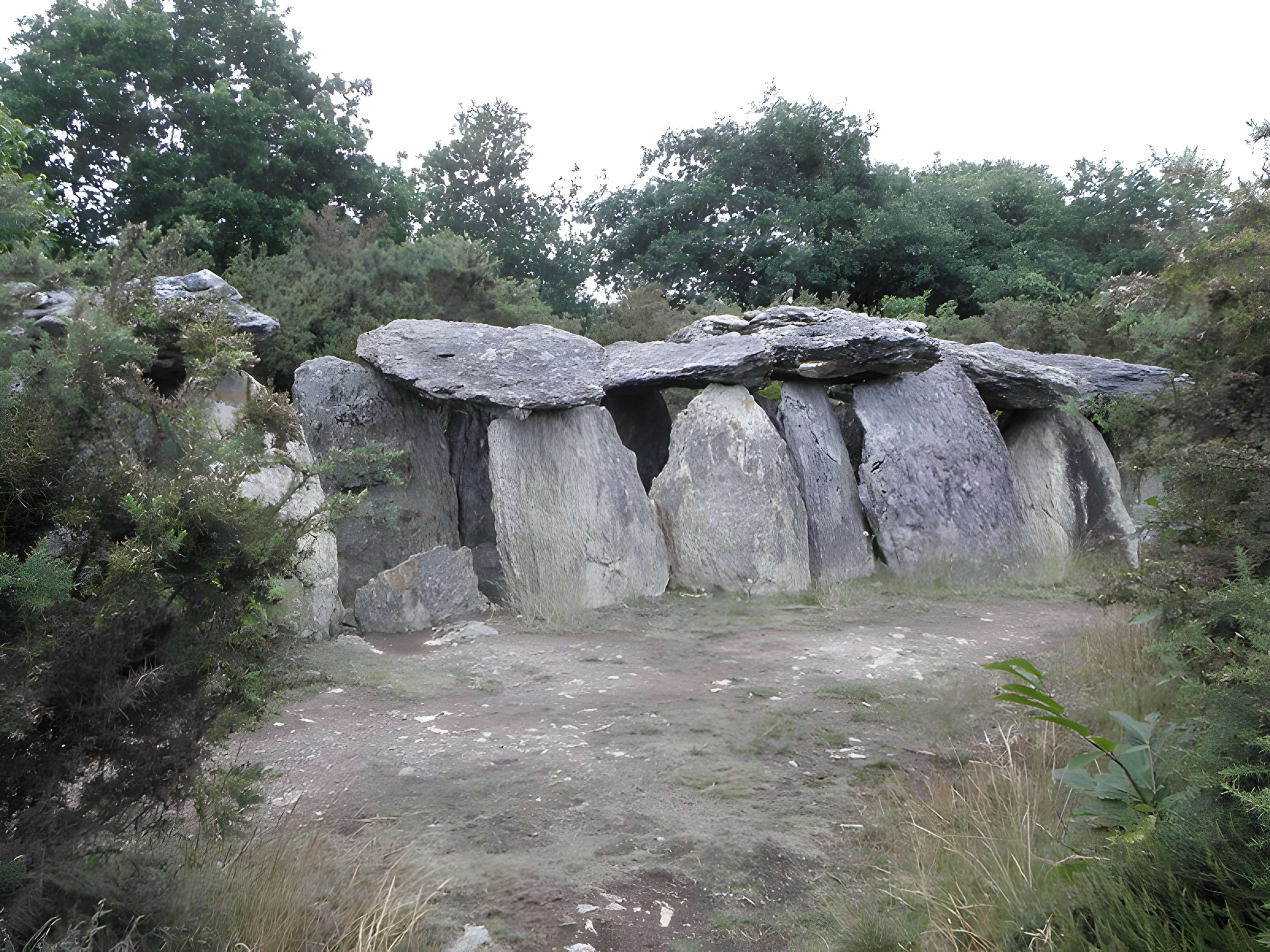 Sépulture mégalithique de Tréal à Saint-Just