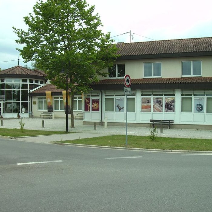 Photo de Site archéologique de Bliesbruck