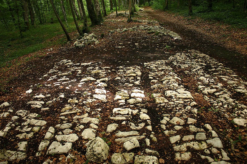 Photo de Site archéologique de Faverolles