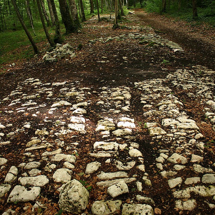 Photo de Site archéologique de Faverolles