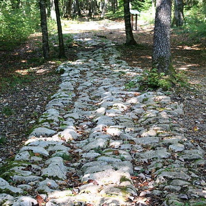 Photo de Site archéologique de Faverolles