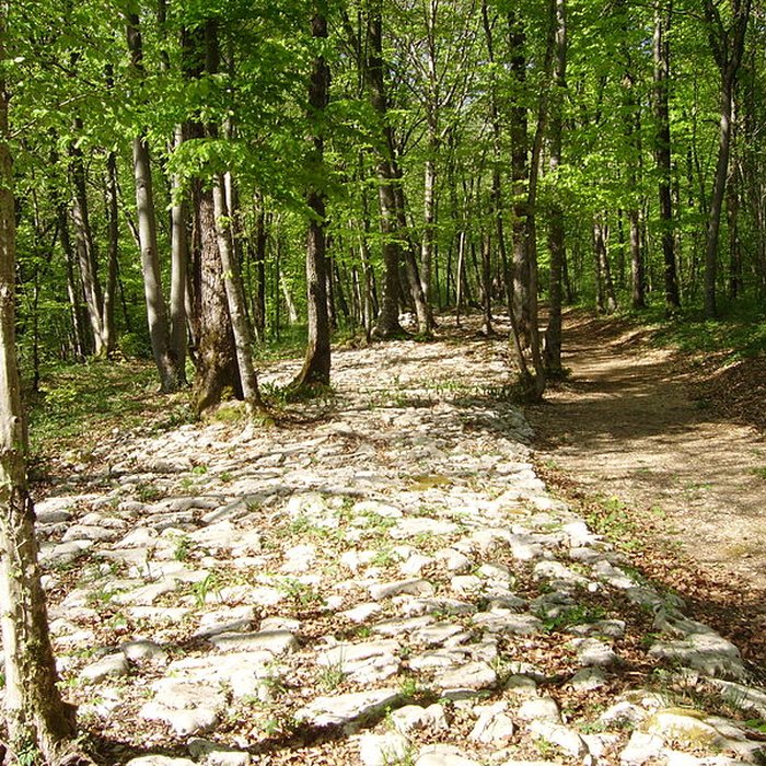 Photo de Site archéologique de Faverolles