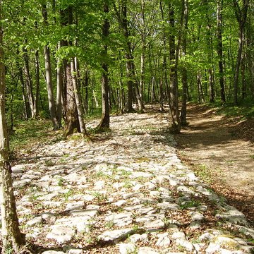 Site archéologique de Faverolles