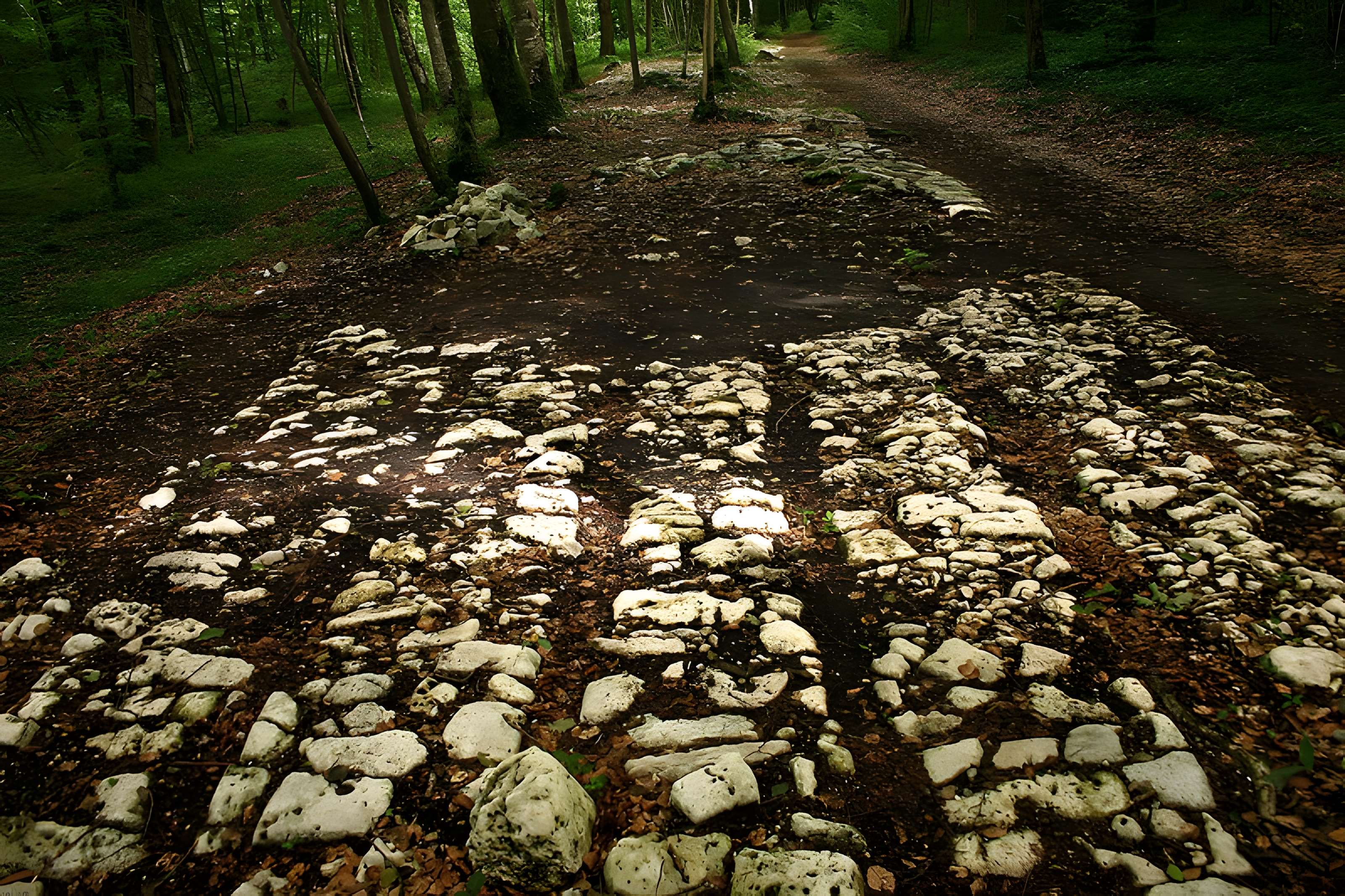 Site archéologique de Faverolles 