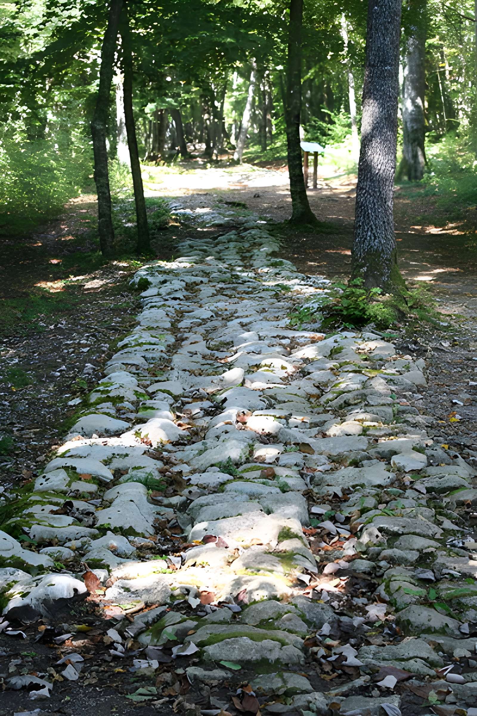 Site archéologique de Faverolles