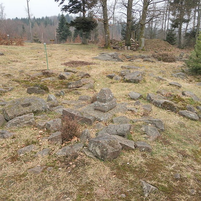 Photo de Site archéologique de la Croix-Guillaume à Saint-Quirin
