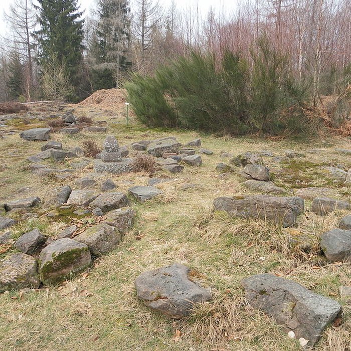 Photo de Site archéologique de la Croix-Guillaume à Saint-Quirin