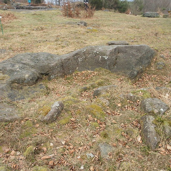 Photo de Site archéologique de la Croix-Guillaume à Saint-Quirin