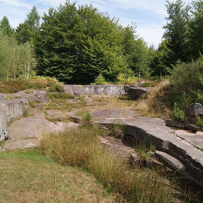 Photo de Site archéologique de la Croix-Guillaume à Saint-Quirin