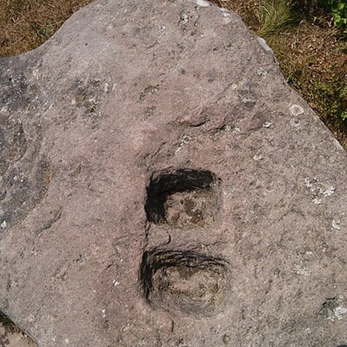 Photo de Site archéologique de la Croix-Guillaume à Saint-Quirin
