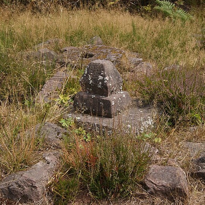 Photo de Site archéologique de la Croix-Guillaume à Saint-Quirin