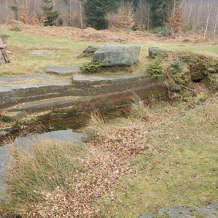 Photo de Site archéologique de la Croix-Guillaume à Saint-Quirin