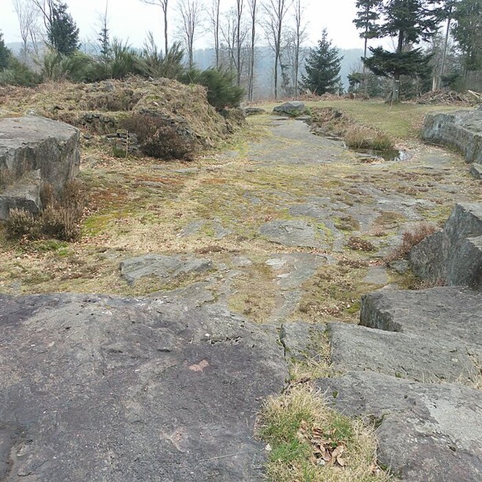 Photo de Site archéologique de la Croix-Guillaume à Saint-Quirin