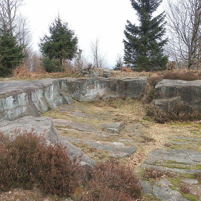 Photo de Site archéologique de la Croix-Guillaume à Saint-Quirin