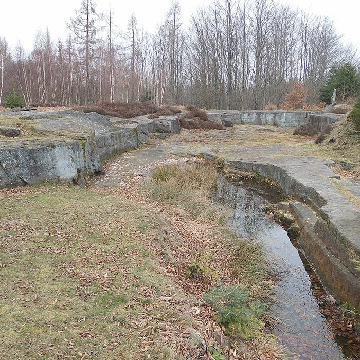 Photo de Site archéologique de la Croix-Guillaume à Saint-Quirin