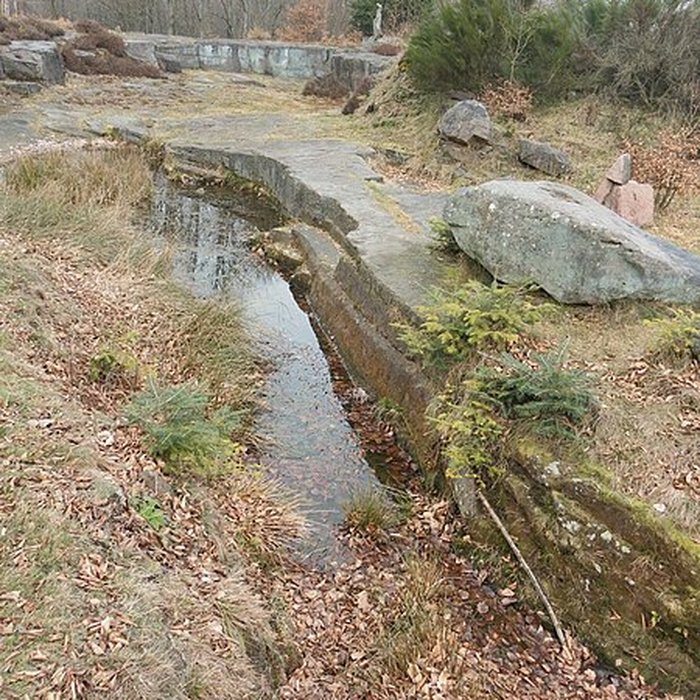 Photo de Site archéologique de la Croix-Guillaume à Saint-Quirin