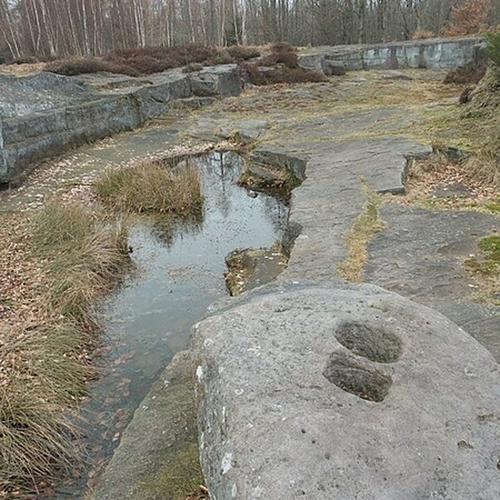Photo de Site archéologique de la Croix-Guillaume à Saint-Quirin