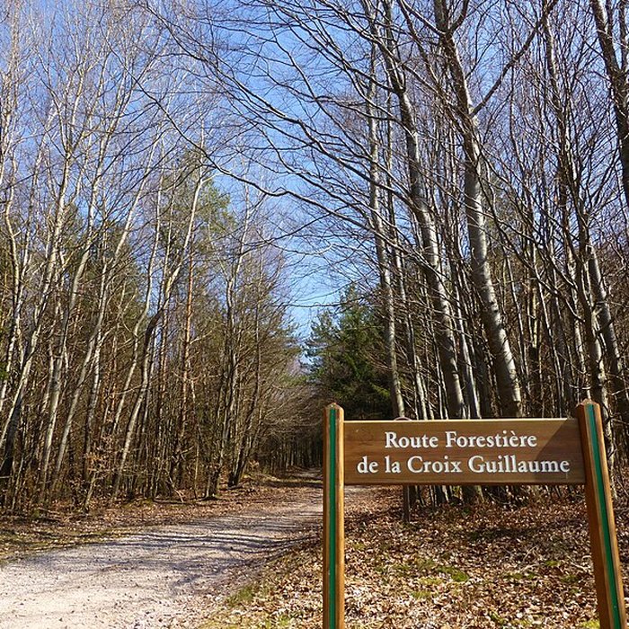 Photo de Site archéologique de la Croix-Guillaume à Saint-Quirin