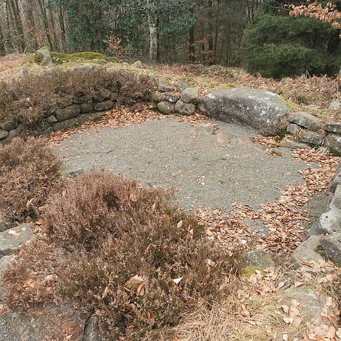 Photo de Site archéologique de la Croix-Guillaume à Saint-Quirin