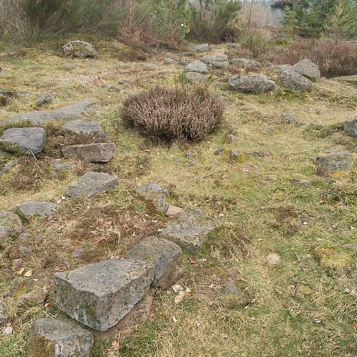 Photo de Site archéologique de la Croix-Guillaume à Saint-Quirin