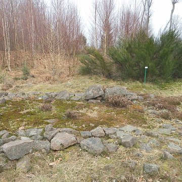 Site archéologique de la Croix-Guillaume à Saint-Quirin