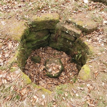 Site archéologique de la Croix-Guillaume à Saint-Quirin