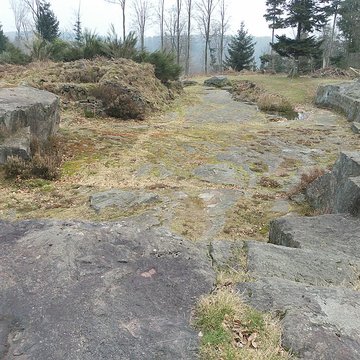 Site archéologique de la Croix-Guillaume à Saint-Quirin