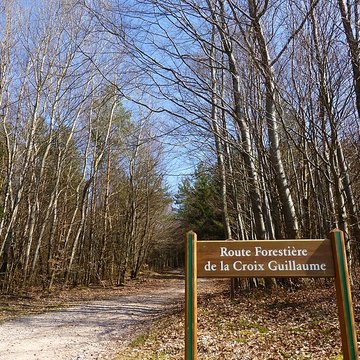 Site archéologique de la Croix-Guillaume à Saint-Quirin