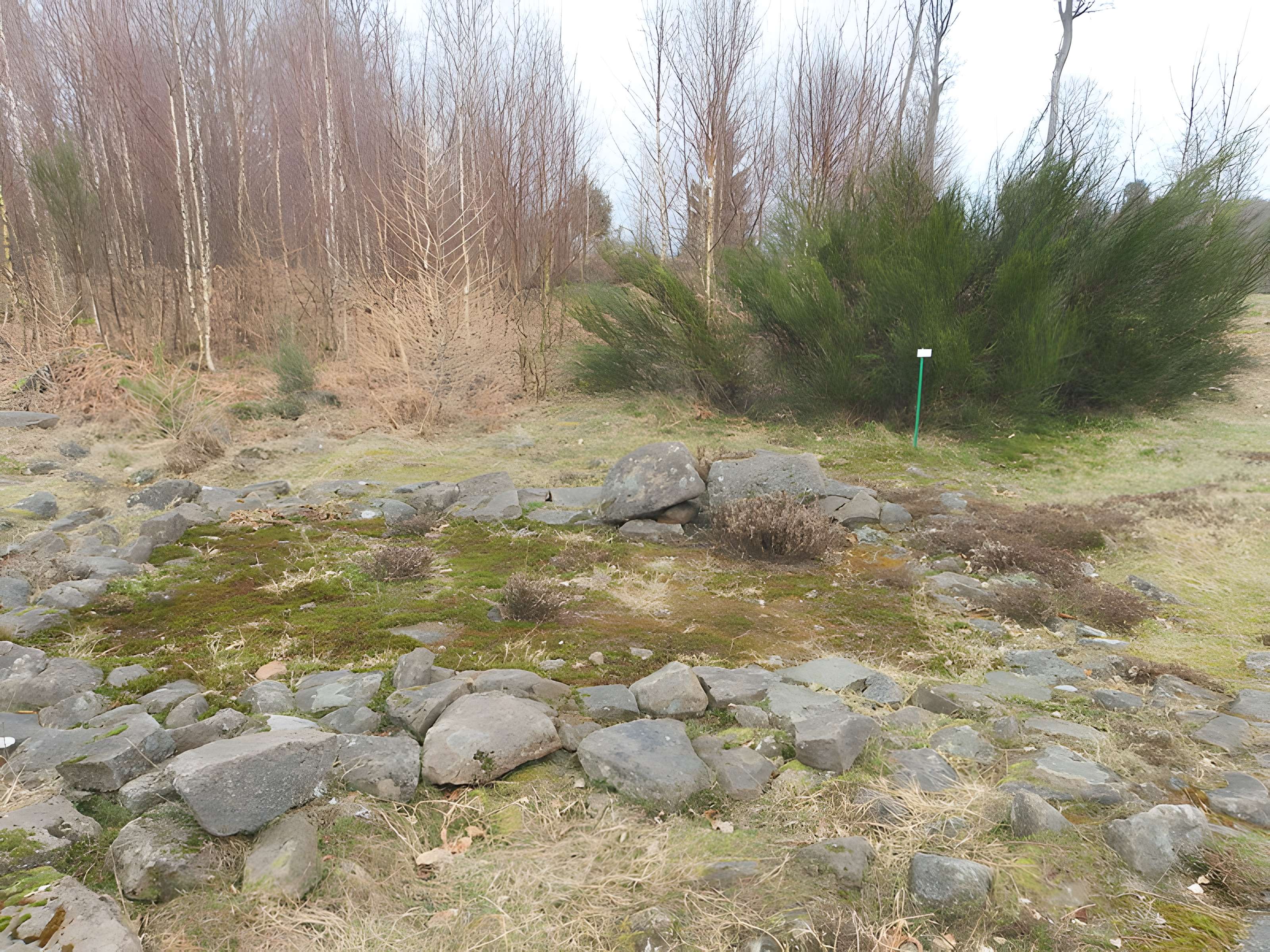 Site archéologique de la Croix-Guillaume à Saint-Quirin
