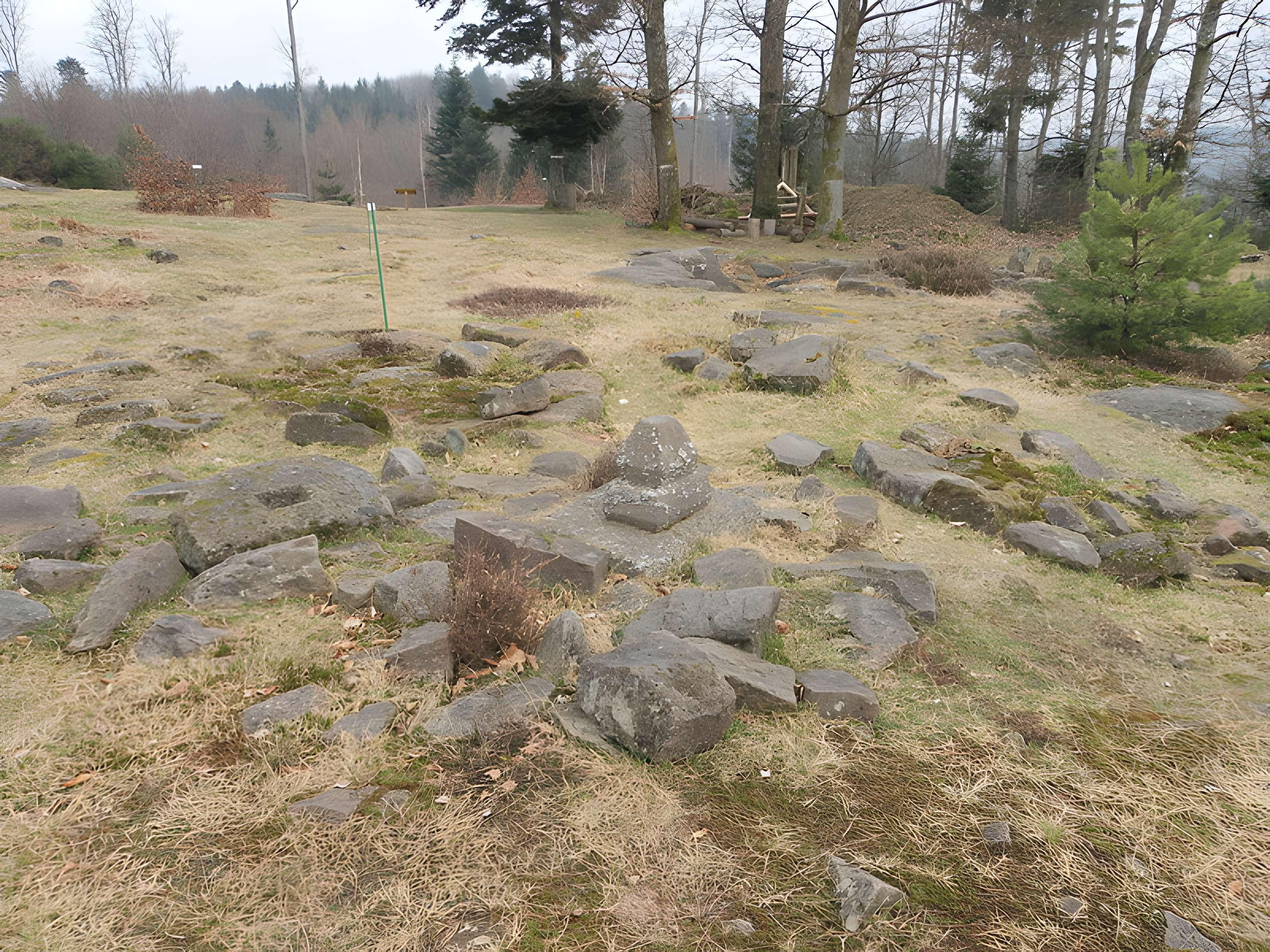 Site archéologique de la Croix-Guillaume à Saint-Quirin