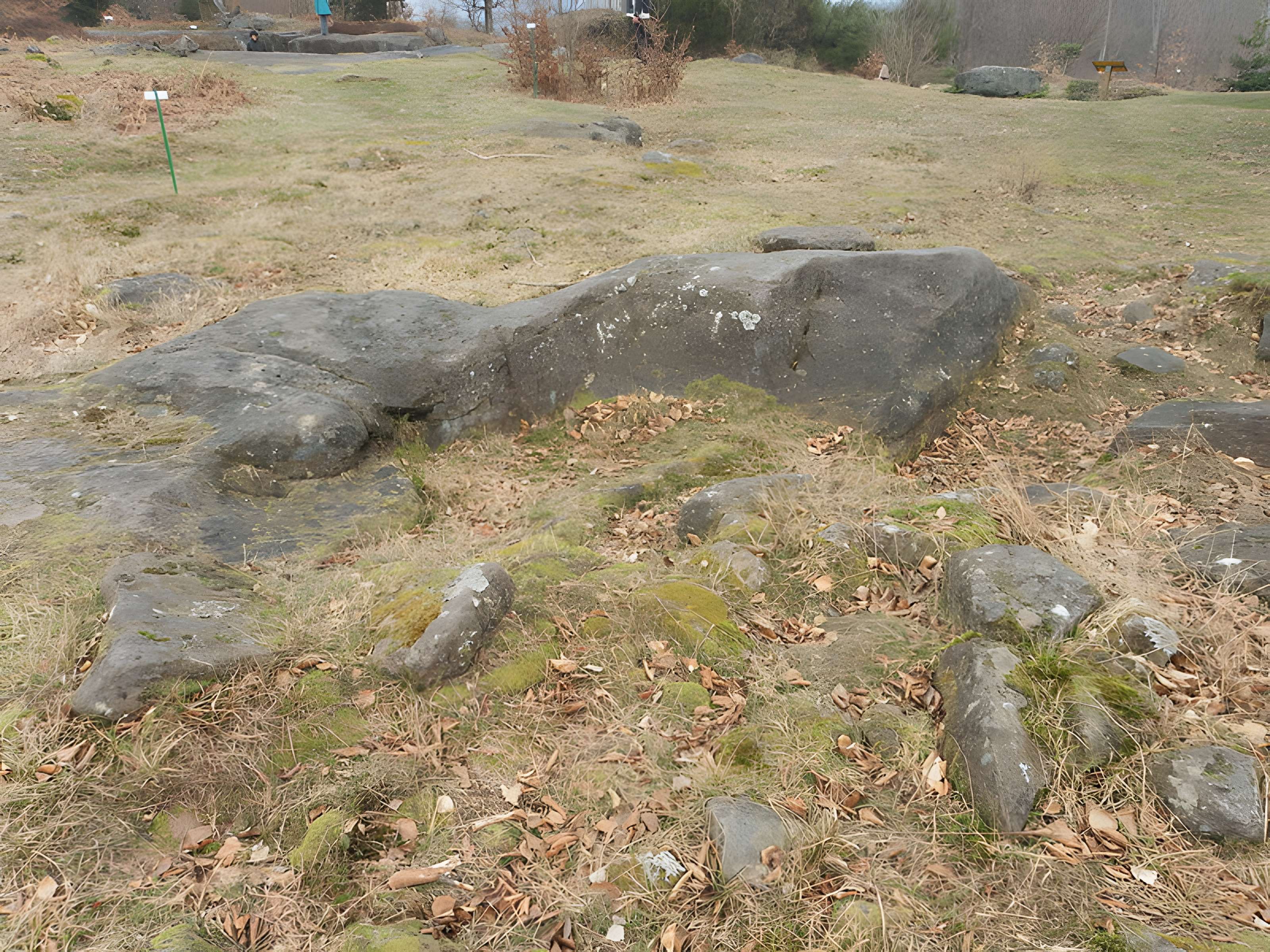 Site archéologique de la Croix-Guillaume à Saint-Quirin