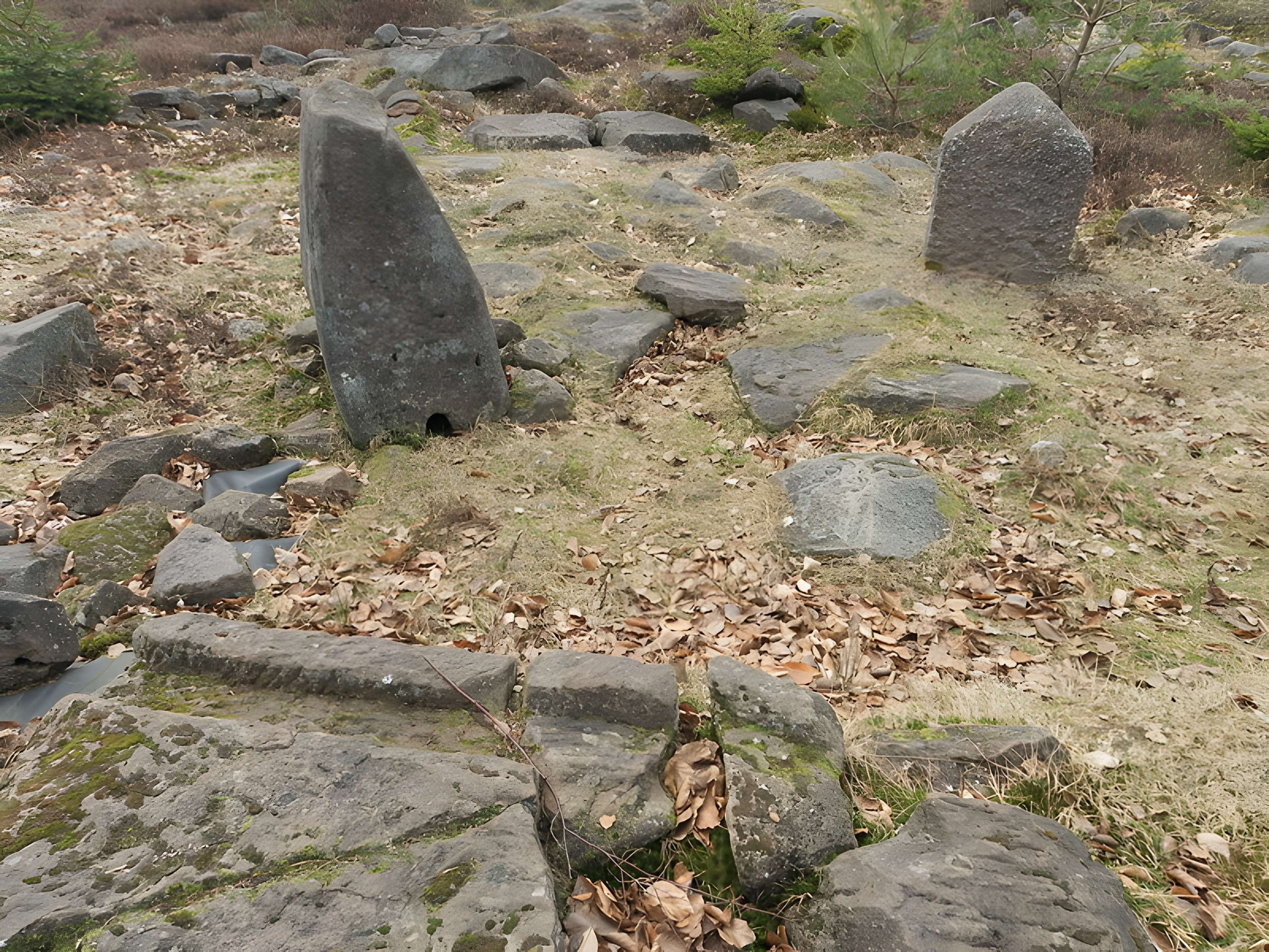 Site archéologique de la Croix-Guillaume à Saint-Quirin