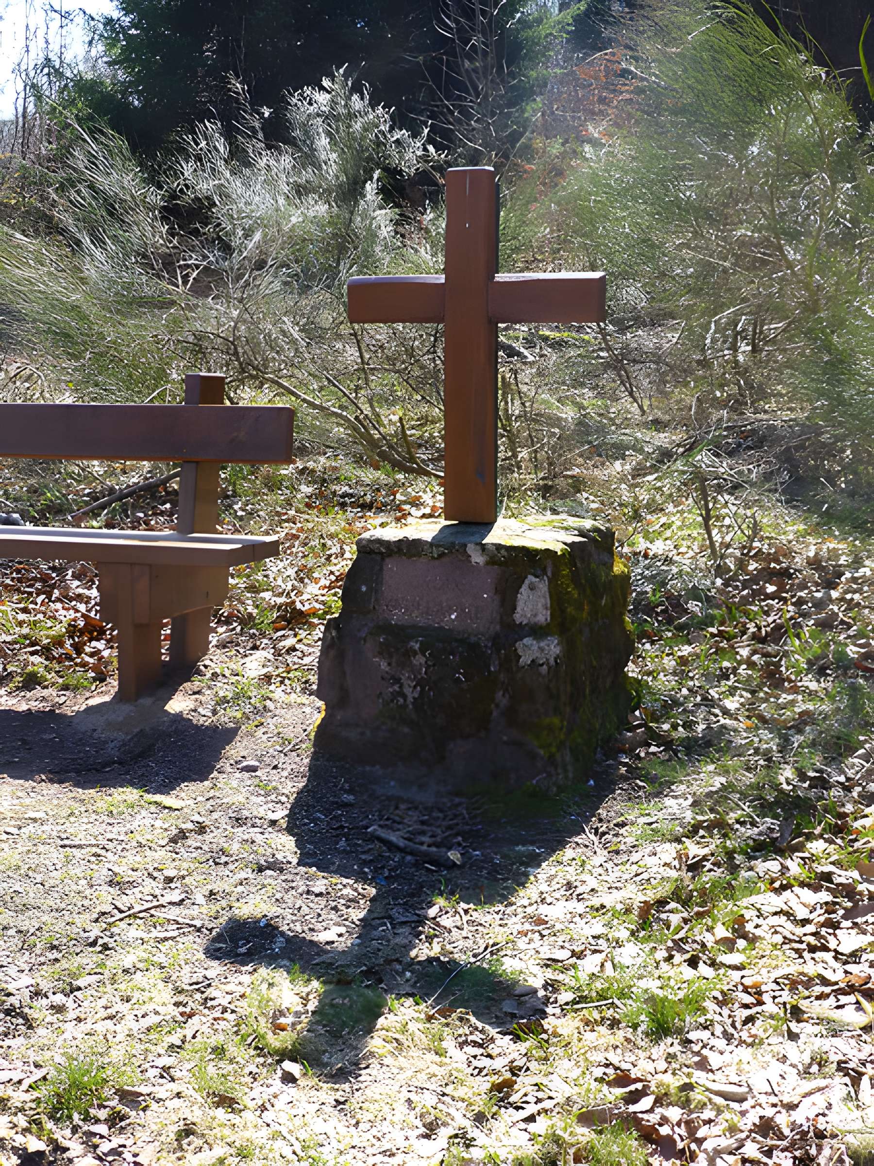 Site archéologique de la Croix-Guillaume à Saint-Quirin
