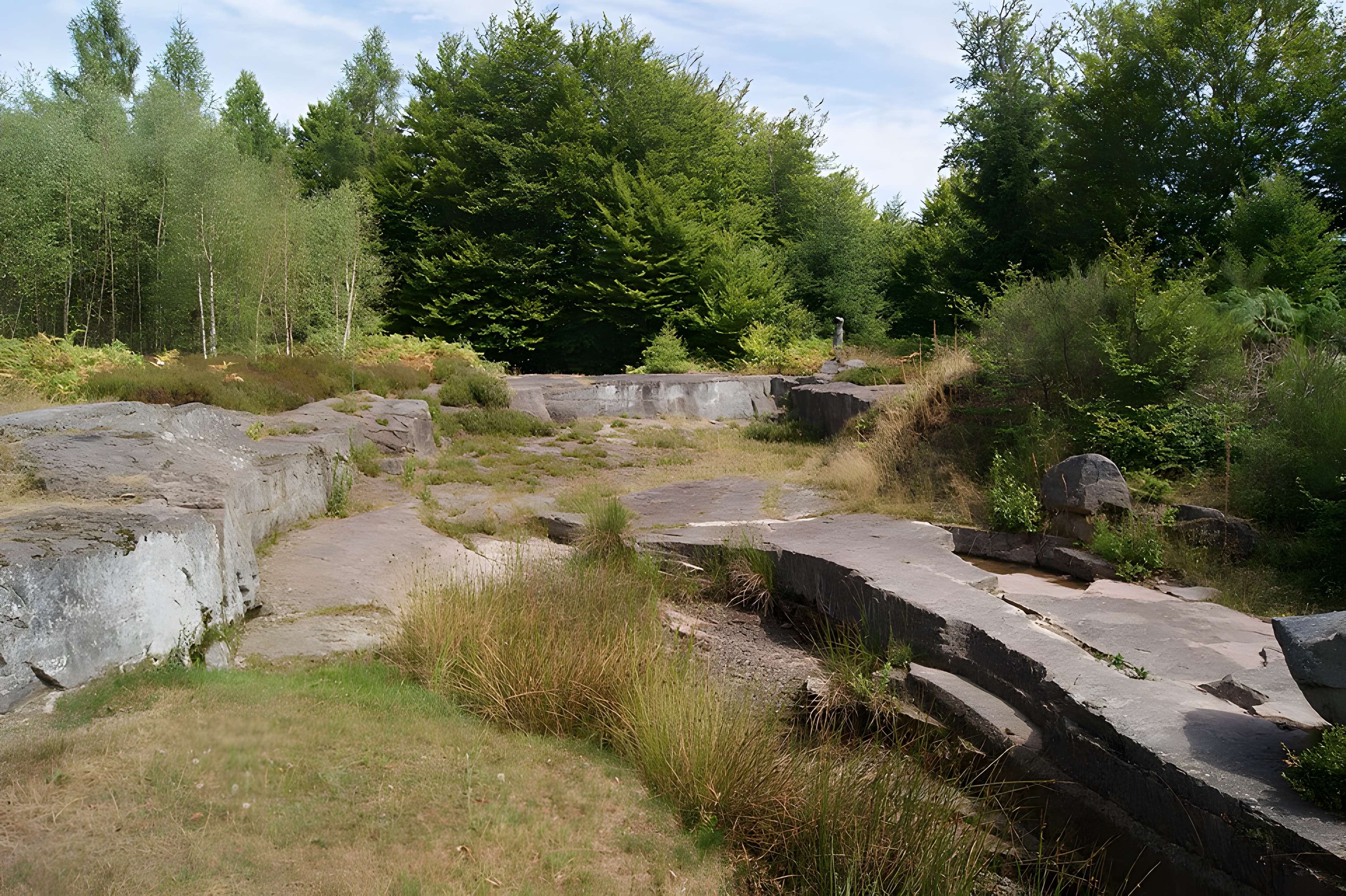 Site archéologique de la Croix-Guillaume à Saint-Quirin