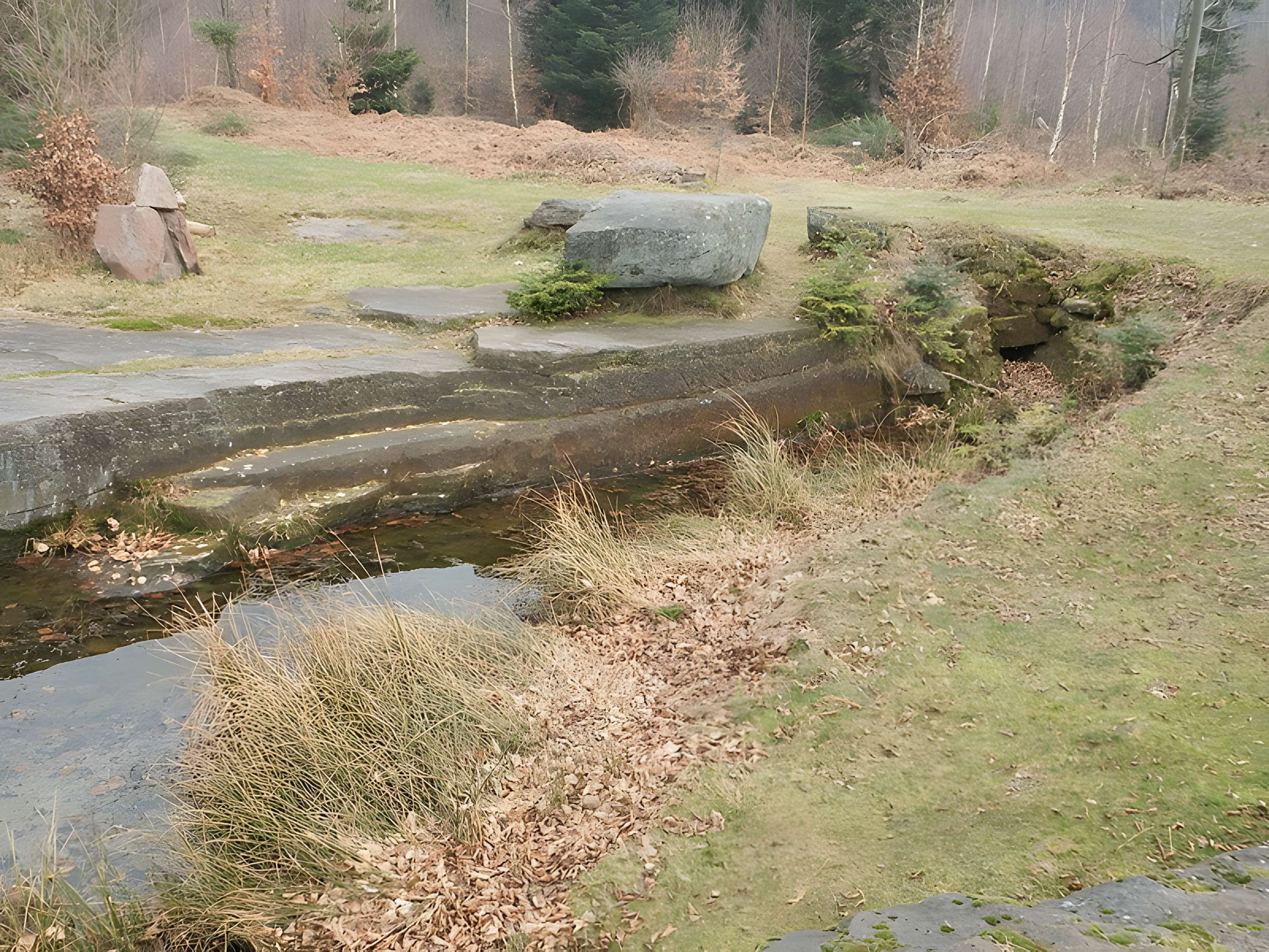 Site archéologique de la Croix-Guillaume à Saint-Quirin